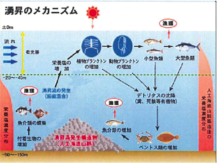 概念図