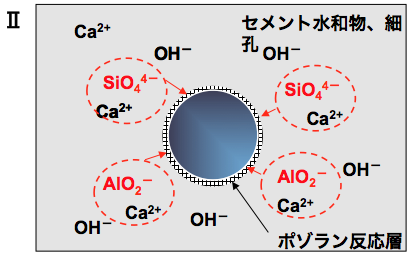 初期（材齢28日以降）の分子イメージ図